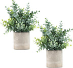 Potted Faux Eucalyptus Plant Set