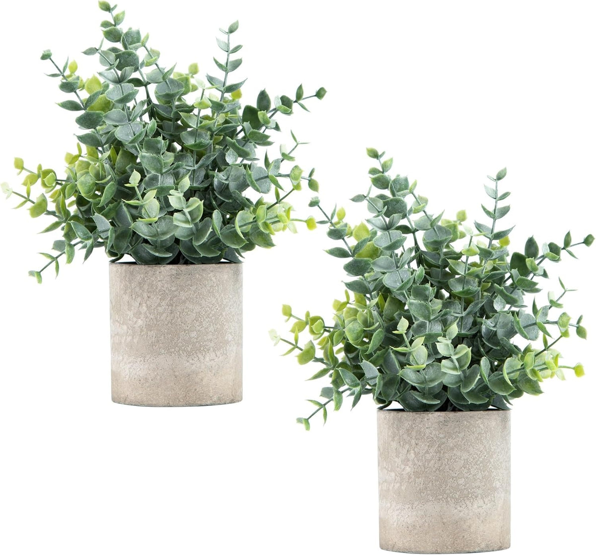 Potted Faux Eucalyptus Plant Set